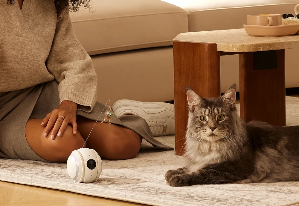 wireless pet camera system