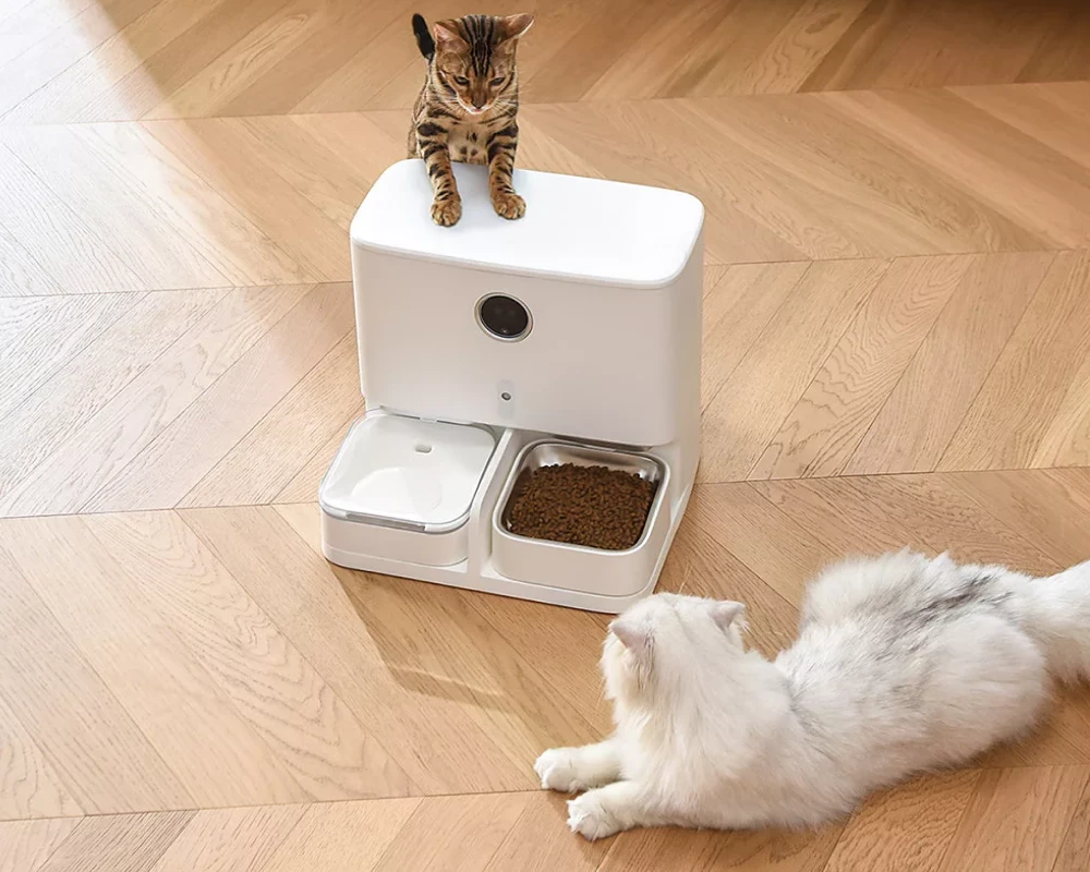 small automatic pet feeder